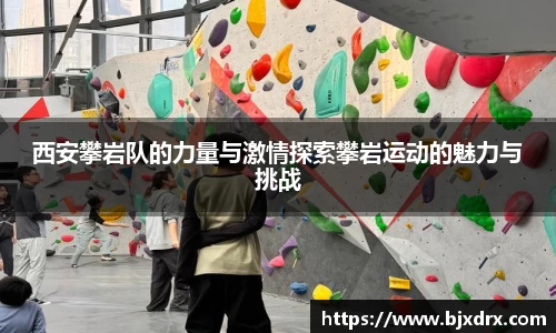 星空官网