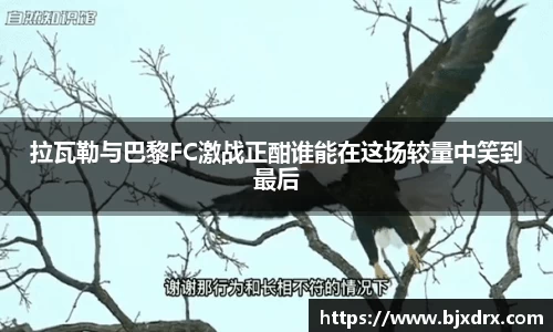 星空官网